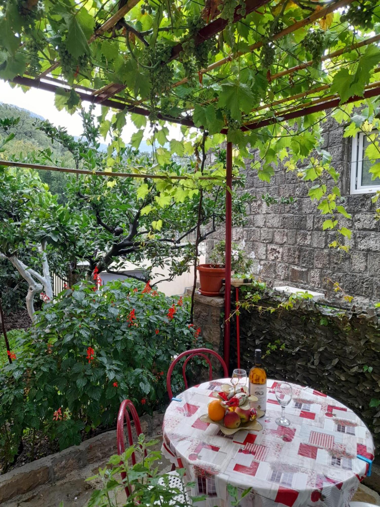 Apartments Kovacevic Petrovac Szoba fotó