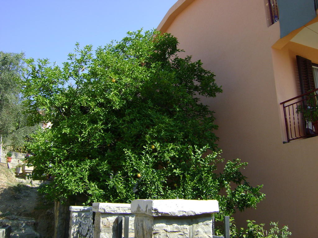 Apartments Kovacevic Petrovac Kültér fotó
